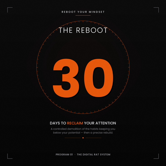 PROGRAM 1 — THE REBOOT